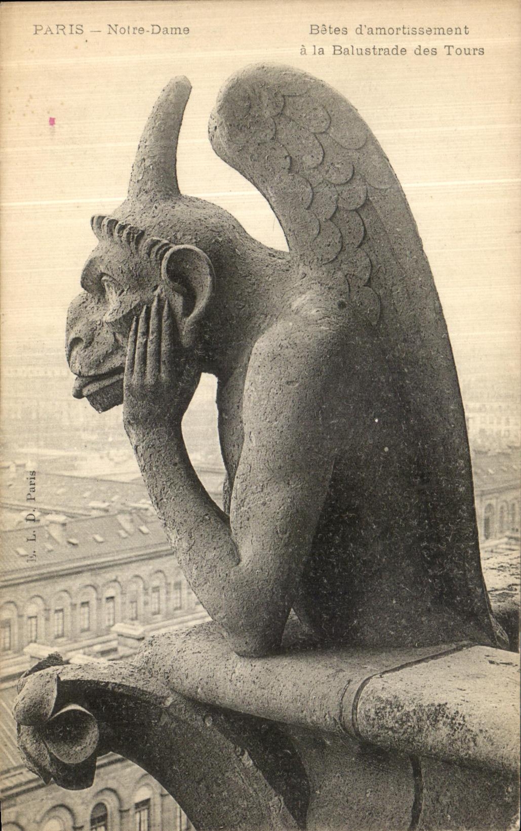 Animal D de Paris Notre Dame de la POSTAL de la VENDIMIA que humedece con la barandilla del diablo de las vueltas