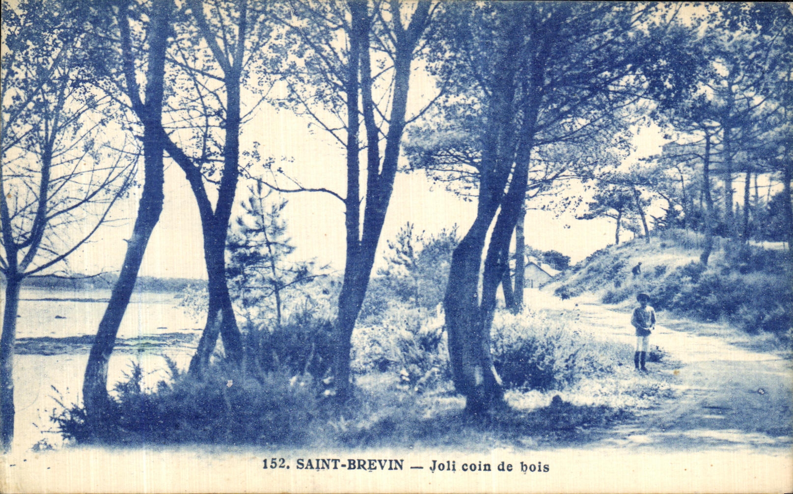 CPA Saint Brevin Joli Coin de Bois