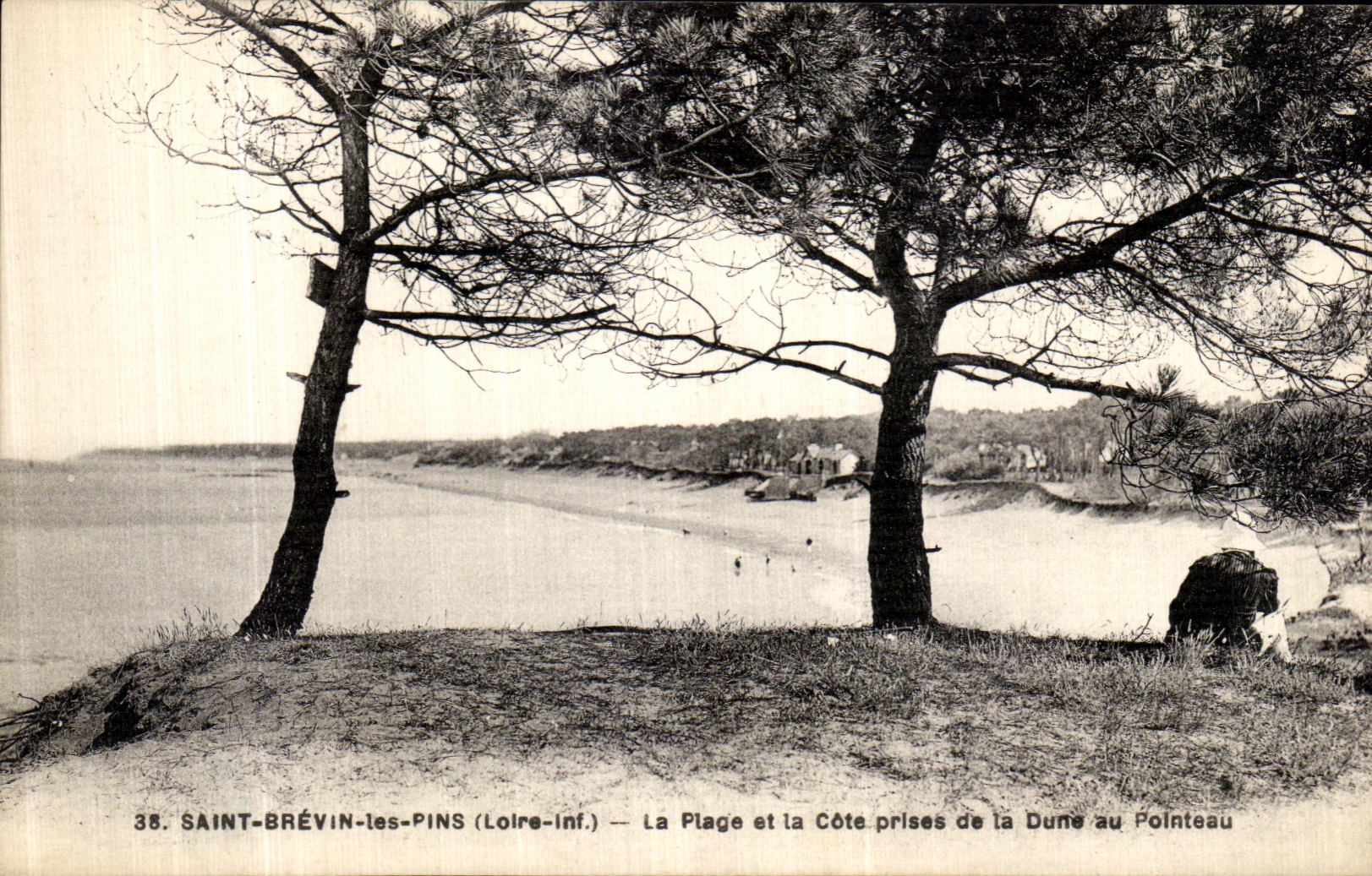 CPA Saint Brevin Les Pins La Plage et la Cote Prises de la Dune au pointeau