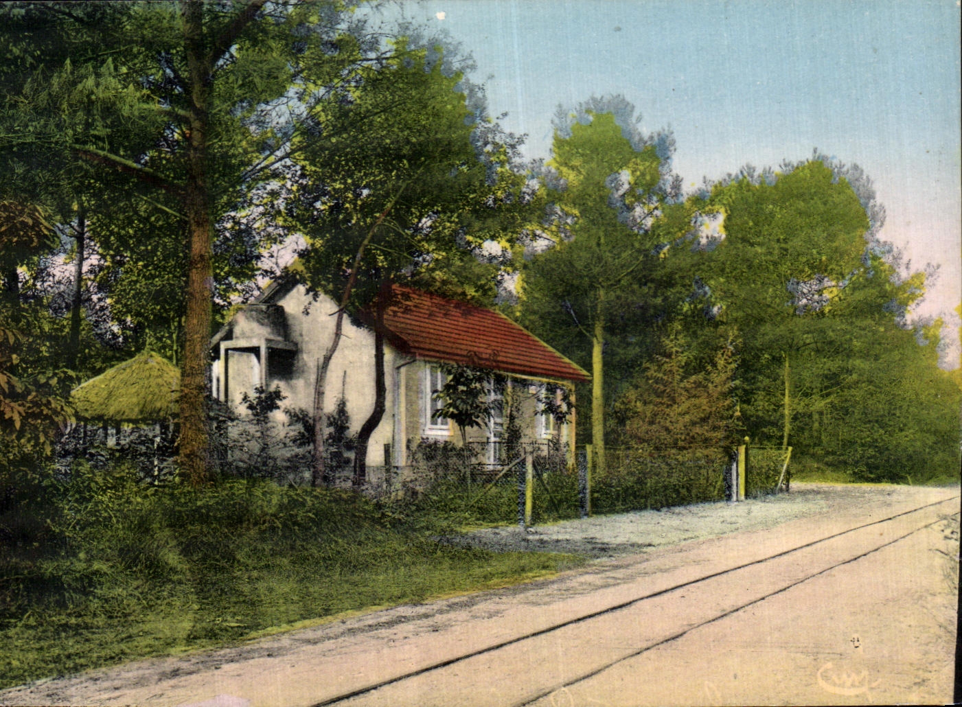 CPA Saint Brevin L Ocean Neuvillette Une Avenue Dans Les Bois
