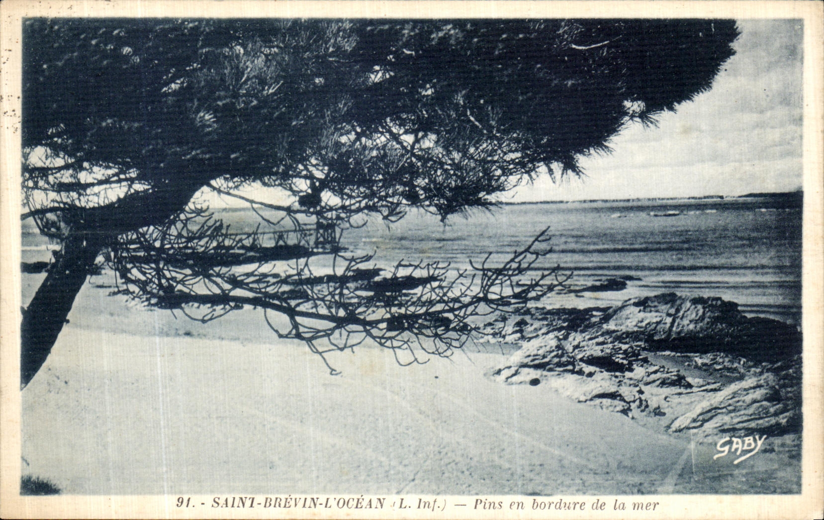 CPA Saint Brevin l Ocean Pins en Bordure de la mer