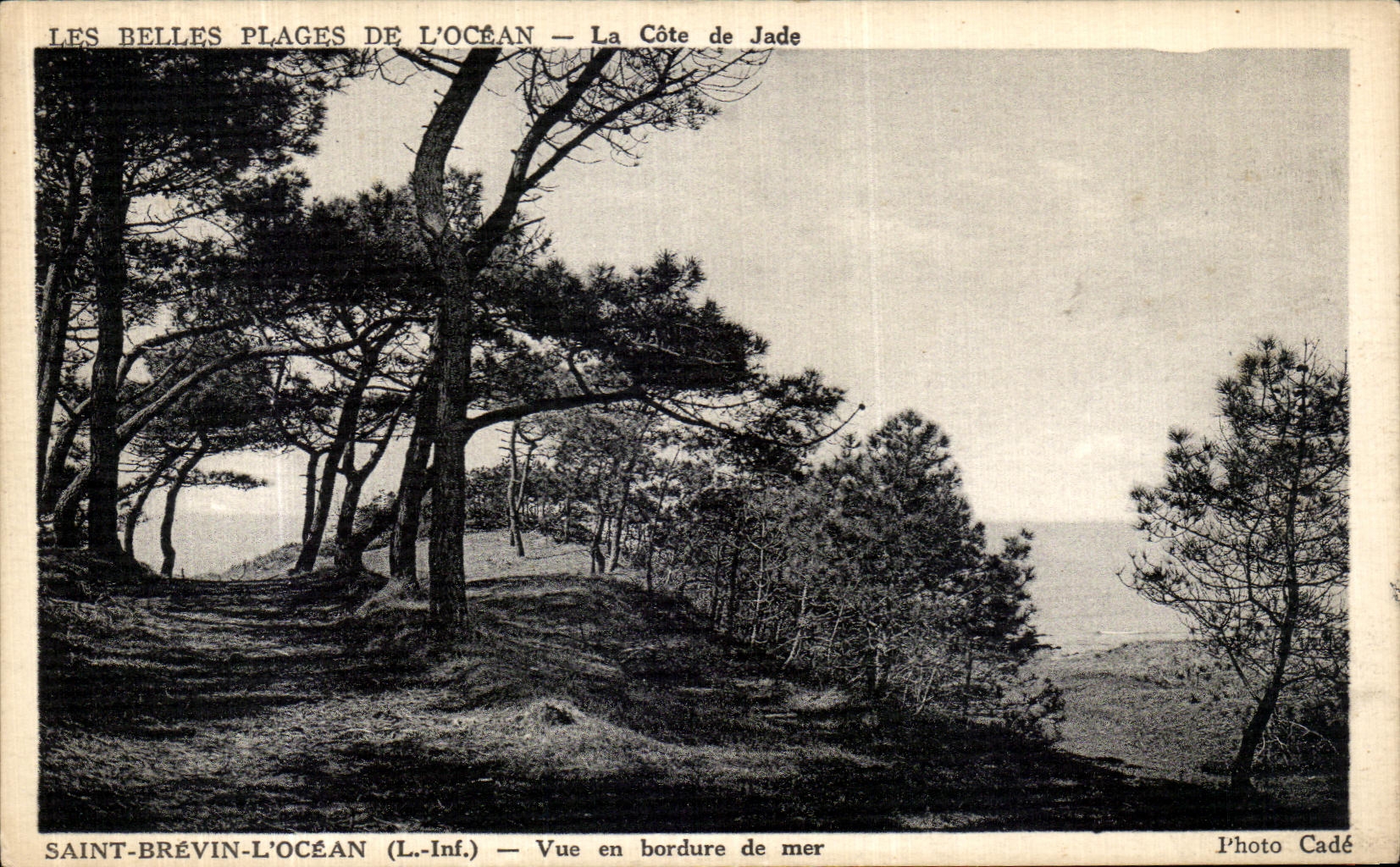 CPA Saint Brevin l Ocean Vue en Bordure de mer