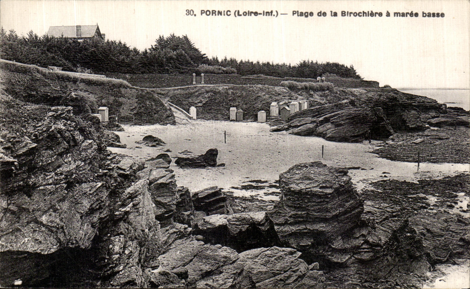 CPA Pornic Plage de la Birochiere a maree Basse