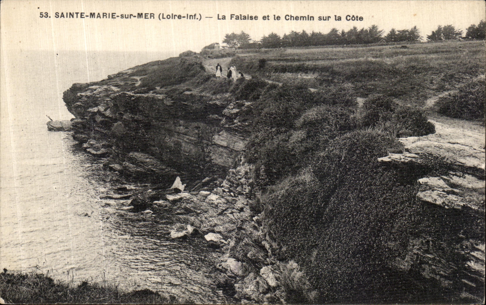 CPA Saint Marie sur Mer La falaise et le Chemin sur la Cote