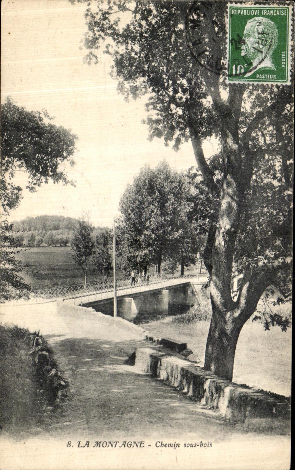 CPA La Montagne Chemin Sous Bois