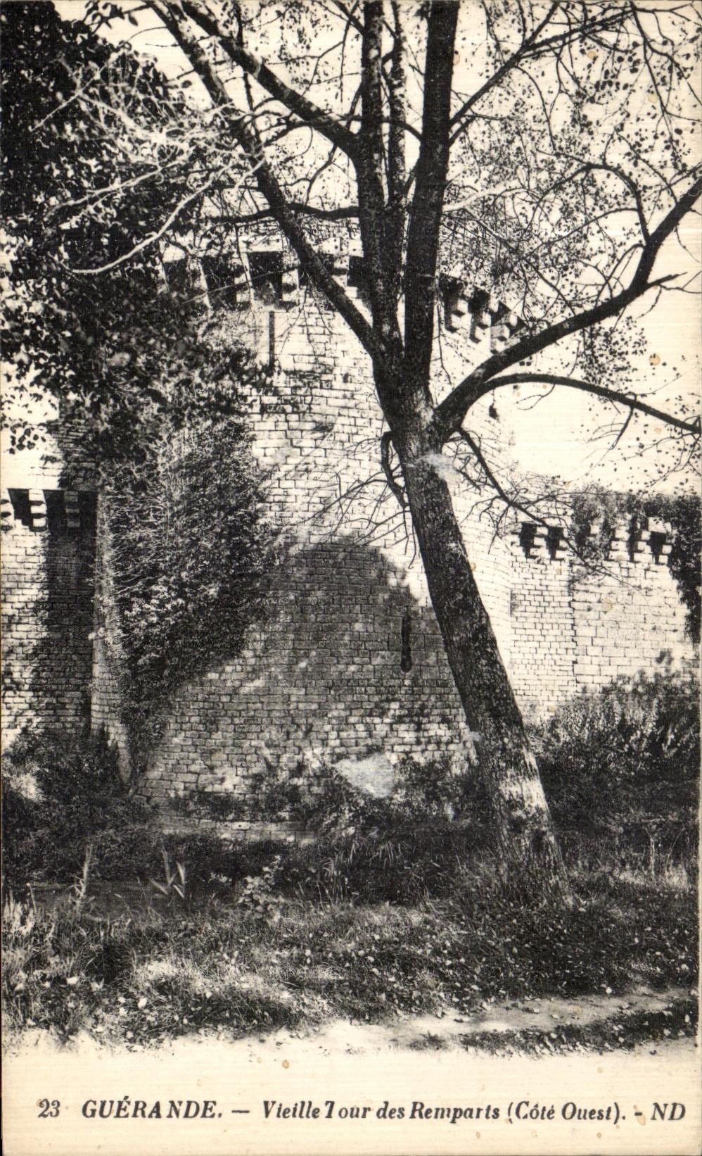 Torre del Hurdy gurdy de Guerande de la POSTAL de la VENDIMIA de las paredes