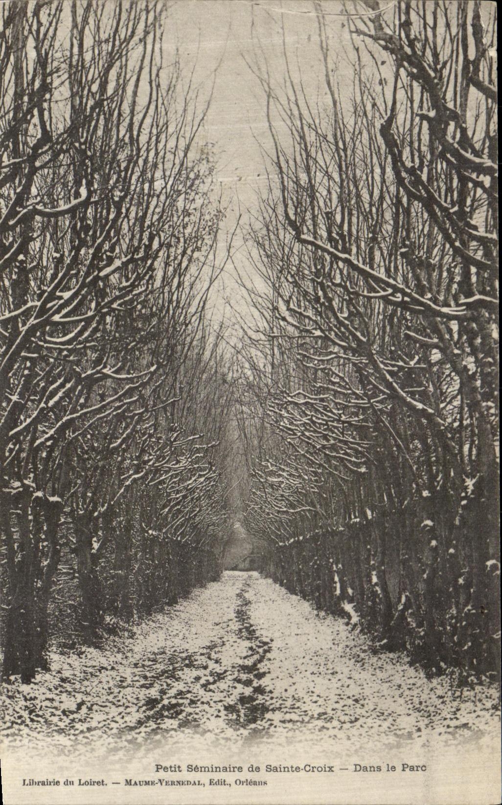 VINTAGE POSTCARD Small Seminar Of Holy Cross In the Park