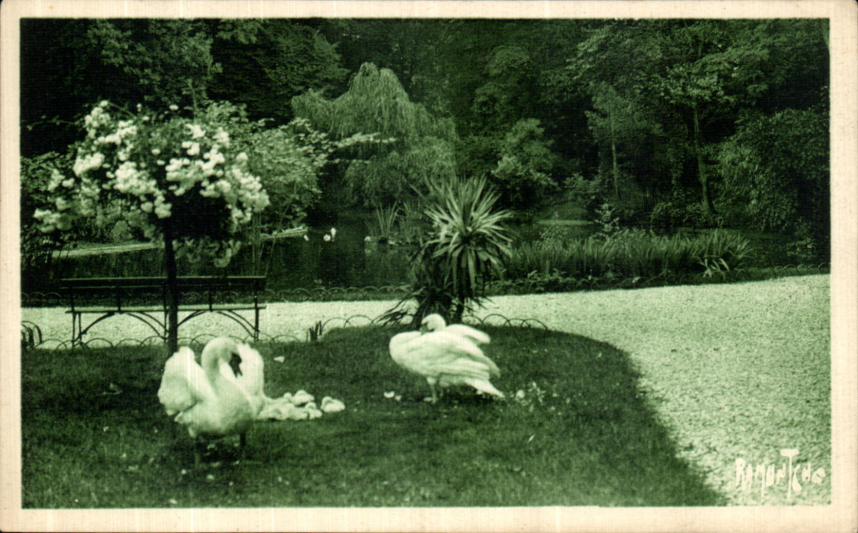 Detalles del conac de la POSTAL de la VENDIMIA con el parque de L cisnes del ayuntamiento