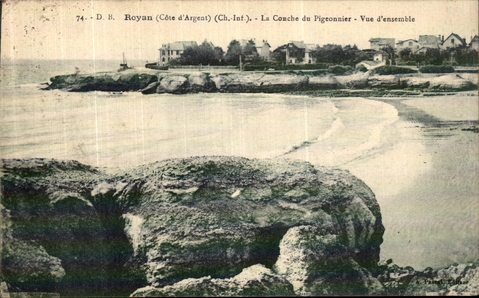 Concha de Royan de la POSTAL de la VENDIMIA de la paloma la vista D junto