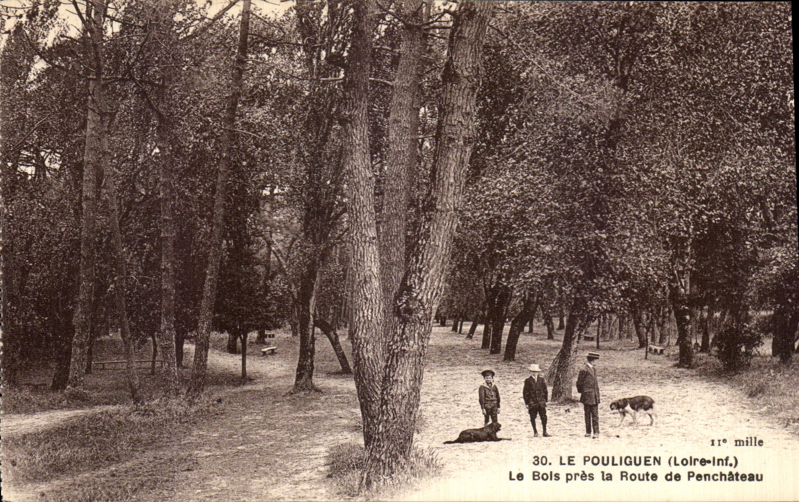 VINTAGE POSTCARD Pouliguen Wood Close the Road of Penchateau