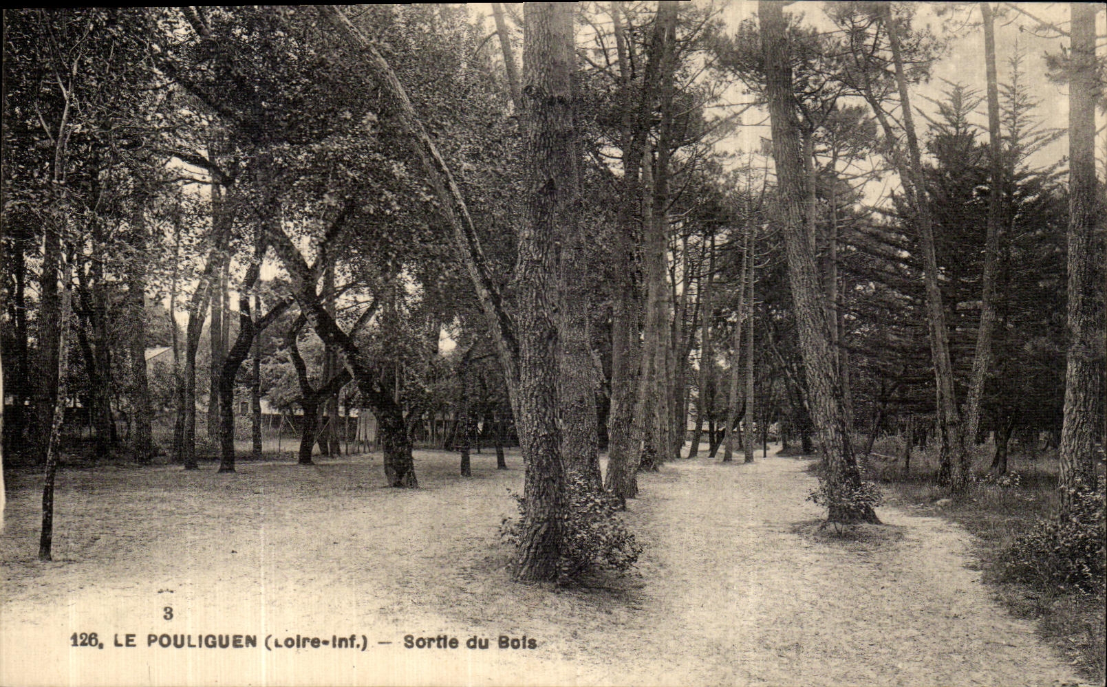 VINTAGE POSTCARD Pouliguen Left Wood