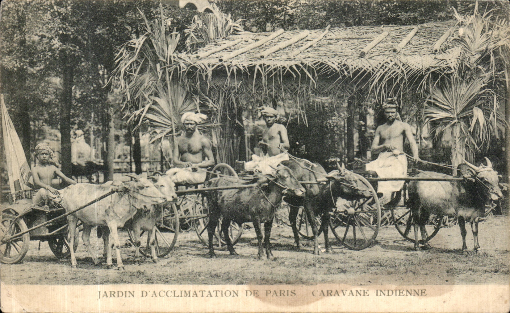 VINTAGE POSTCARD Garden D Acclimatization of Paris Indian Caravan