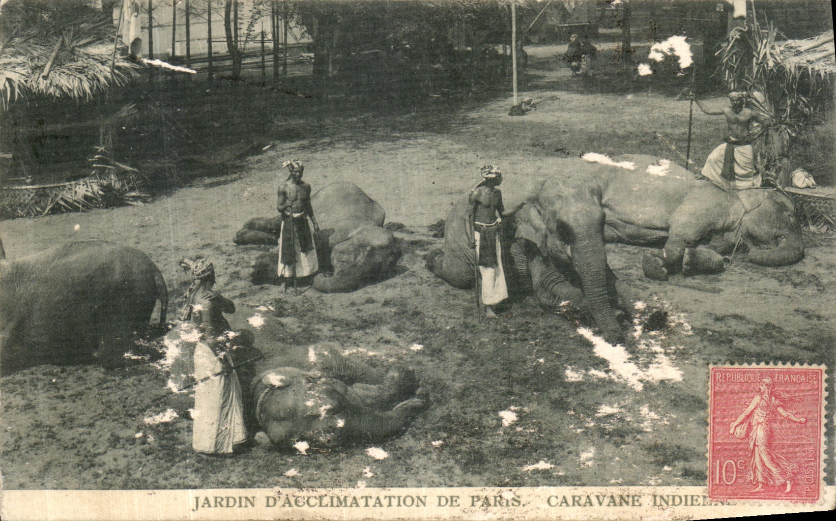 VINTAGE POSTCARD Paris Garden D Acclimatization of Paris Indian Caravan Elephants