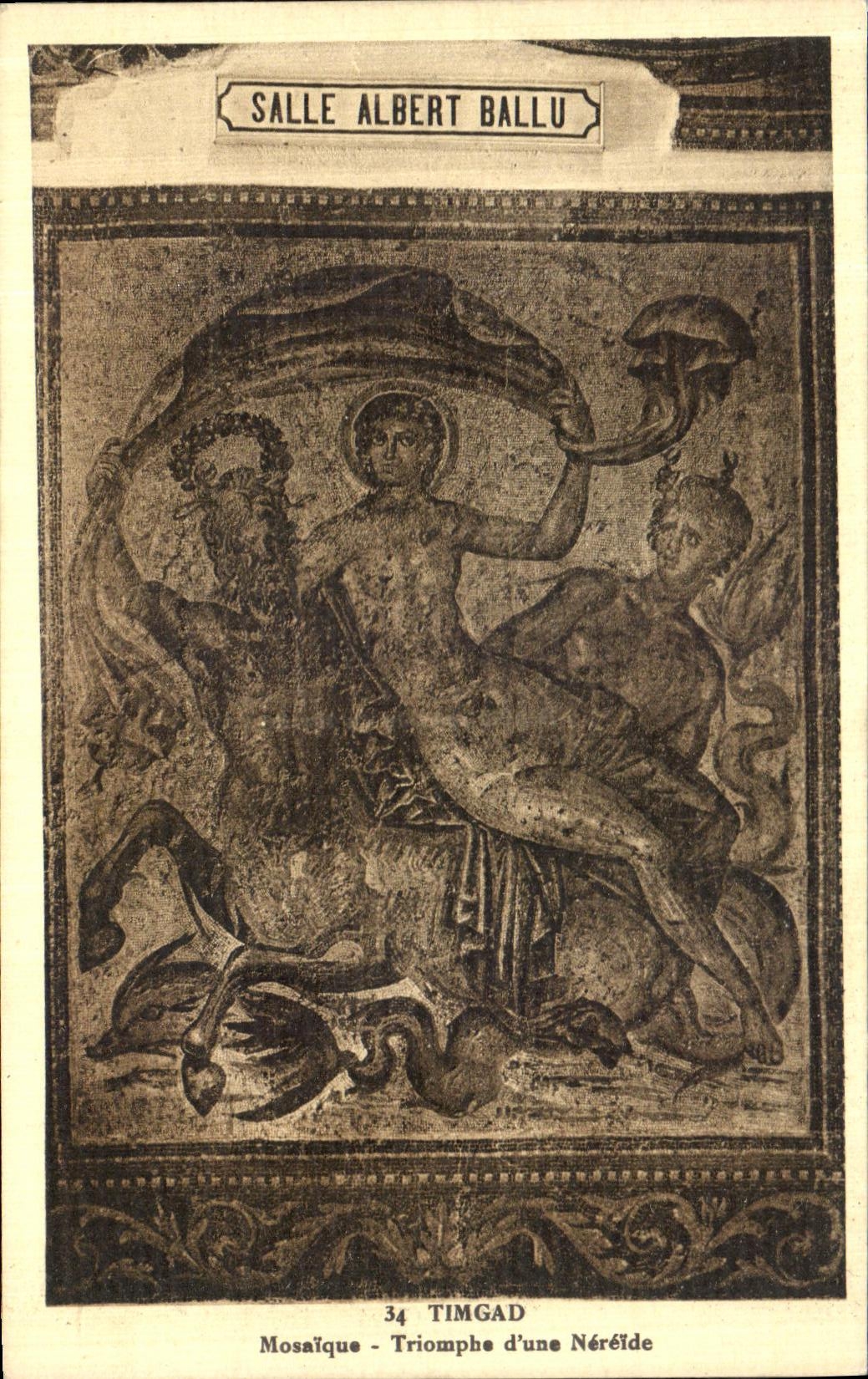 VINTAGE POSTCARD Timgad Mosatque Triumphs D Nereide Salle Albert Ballu