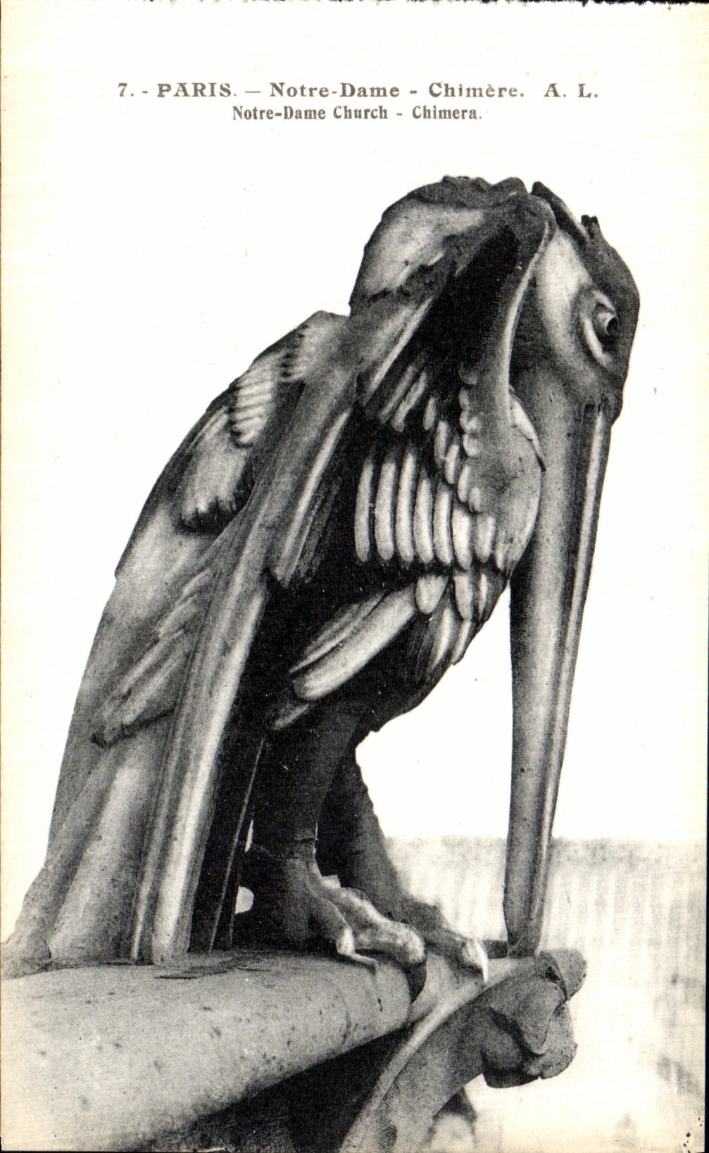 Sueno de Paris Notre Dame de la POSTAL de la VENDIMIA