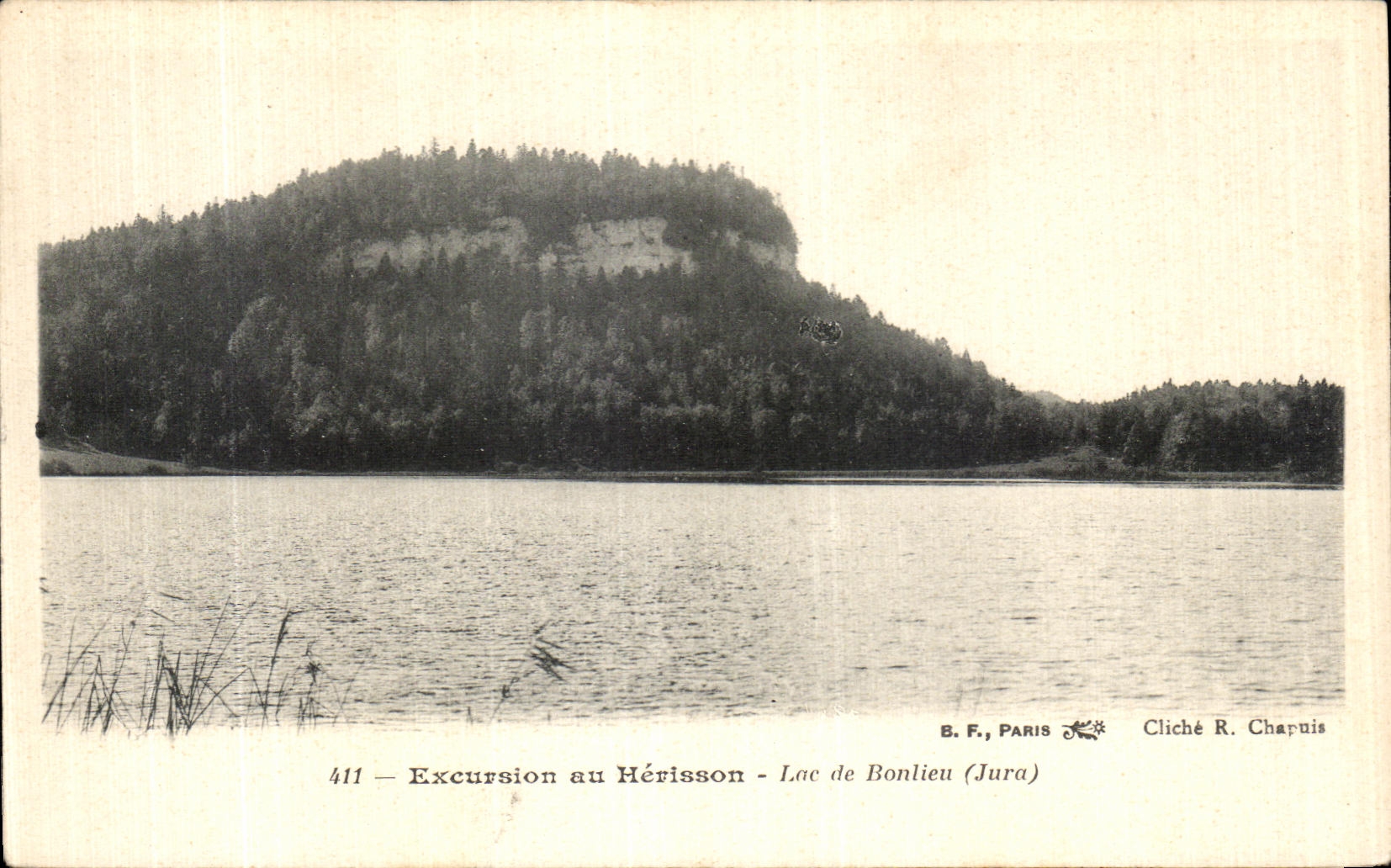 VINTAGE POSTCARD Excursion With the Hedgehog Lake De Bonlieu
