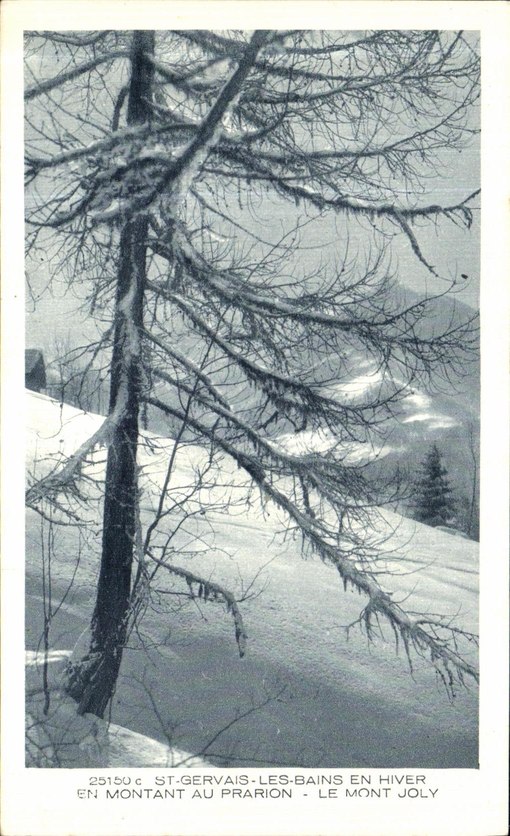 CPA St Gervais Les Bains En Hiver En Montant Au Prarion Le Mont Joly