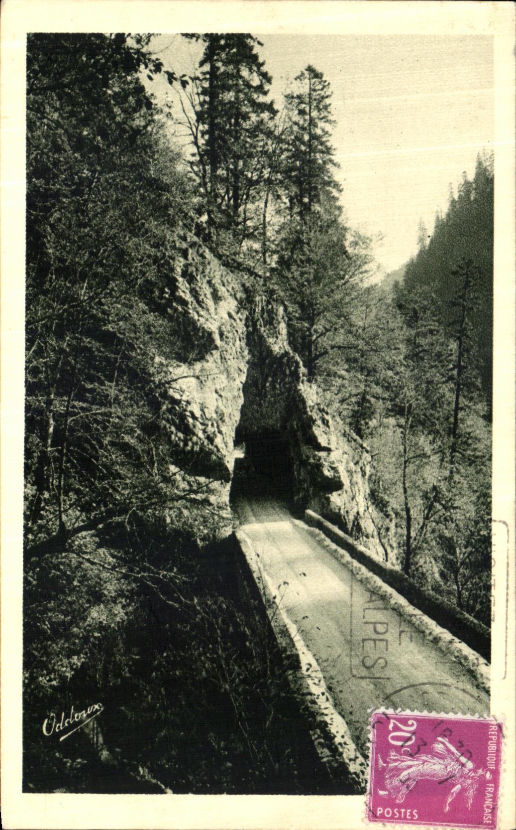 Camino de la POSTAL de la VENDIMIA de chartreuse grande