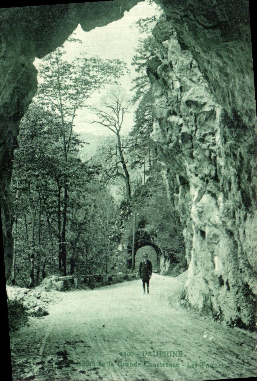 Camino de la POSTAL de la VENDIMIA de túneles chartreuses grandes