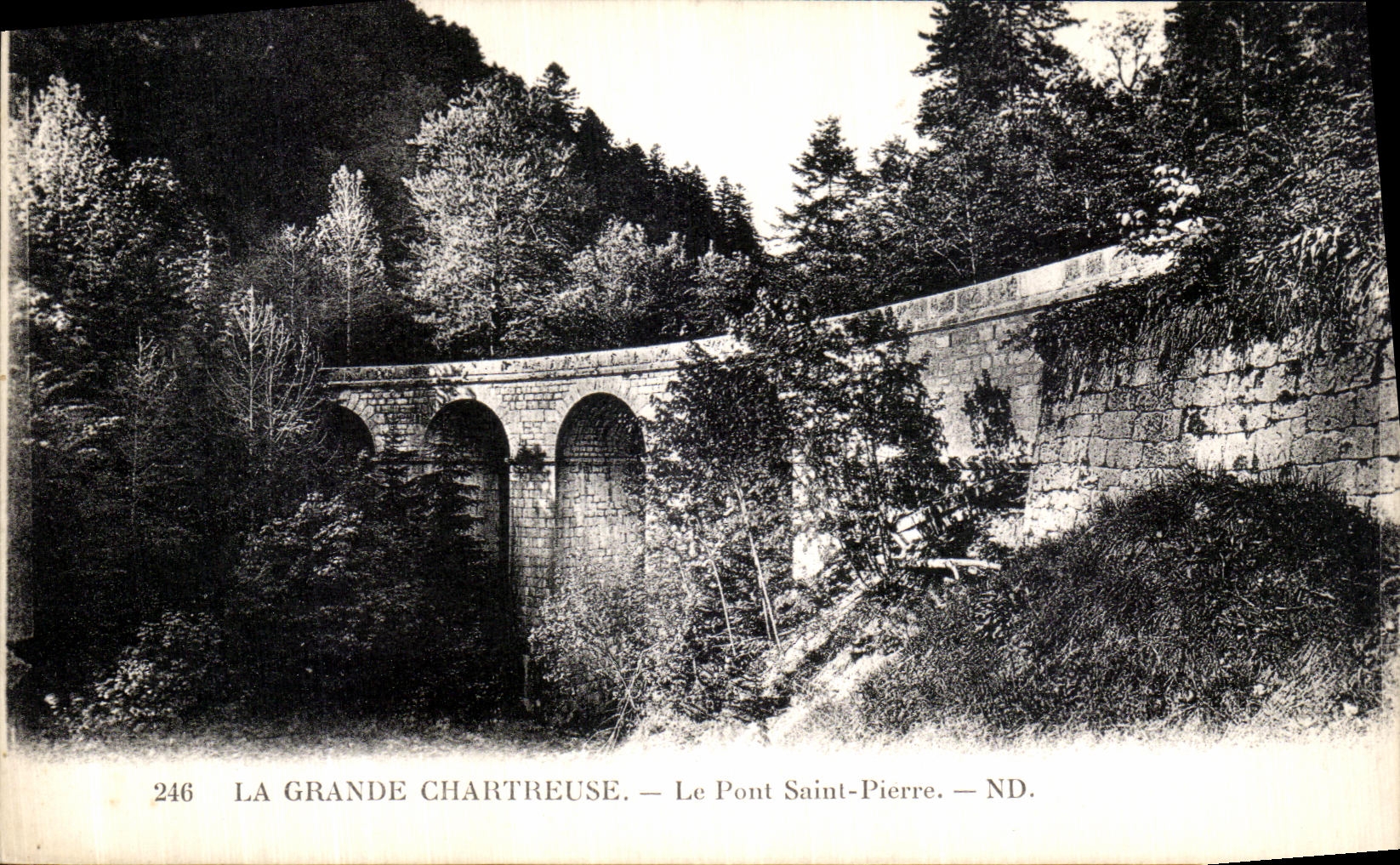 Chartreuse grande de la POSTAL de la VENDIMIA el Saint Pierre del puente