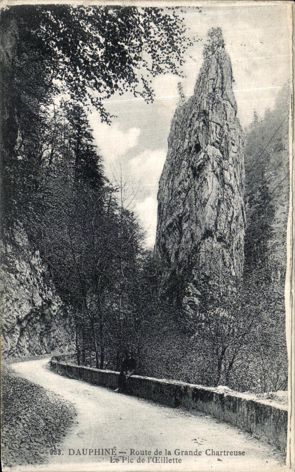 Camino de Dauphine de la POSTAL de la VENDIMIA de chartreuse grande el pico de L amapola del aceite