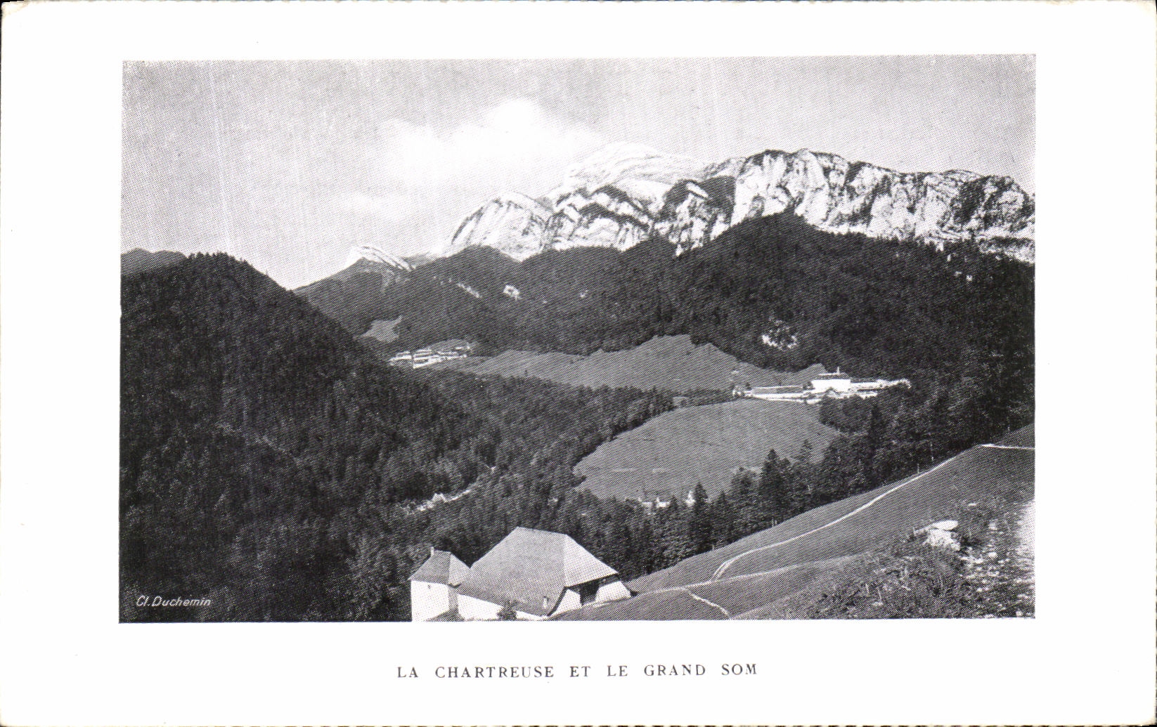 Som chartreuse y grande de la POSTAL de la VENDIMIA