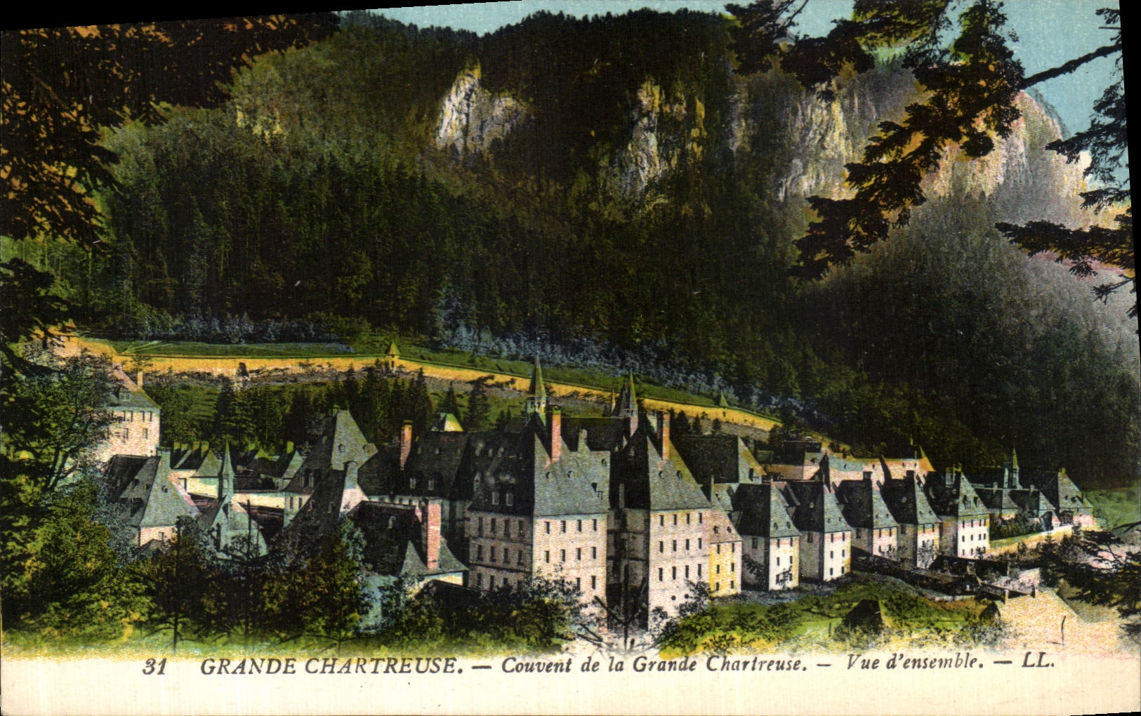 POSTAL D vista cria chartreuse grande de la VENDIMIA junto