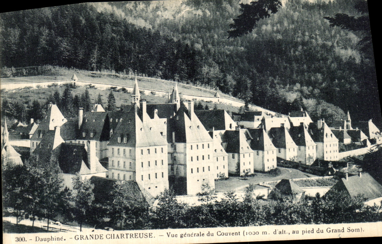 Opinion chartreuse grande de la POSTAL de la VENDIMIA del convento