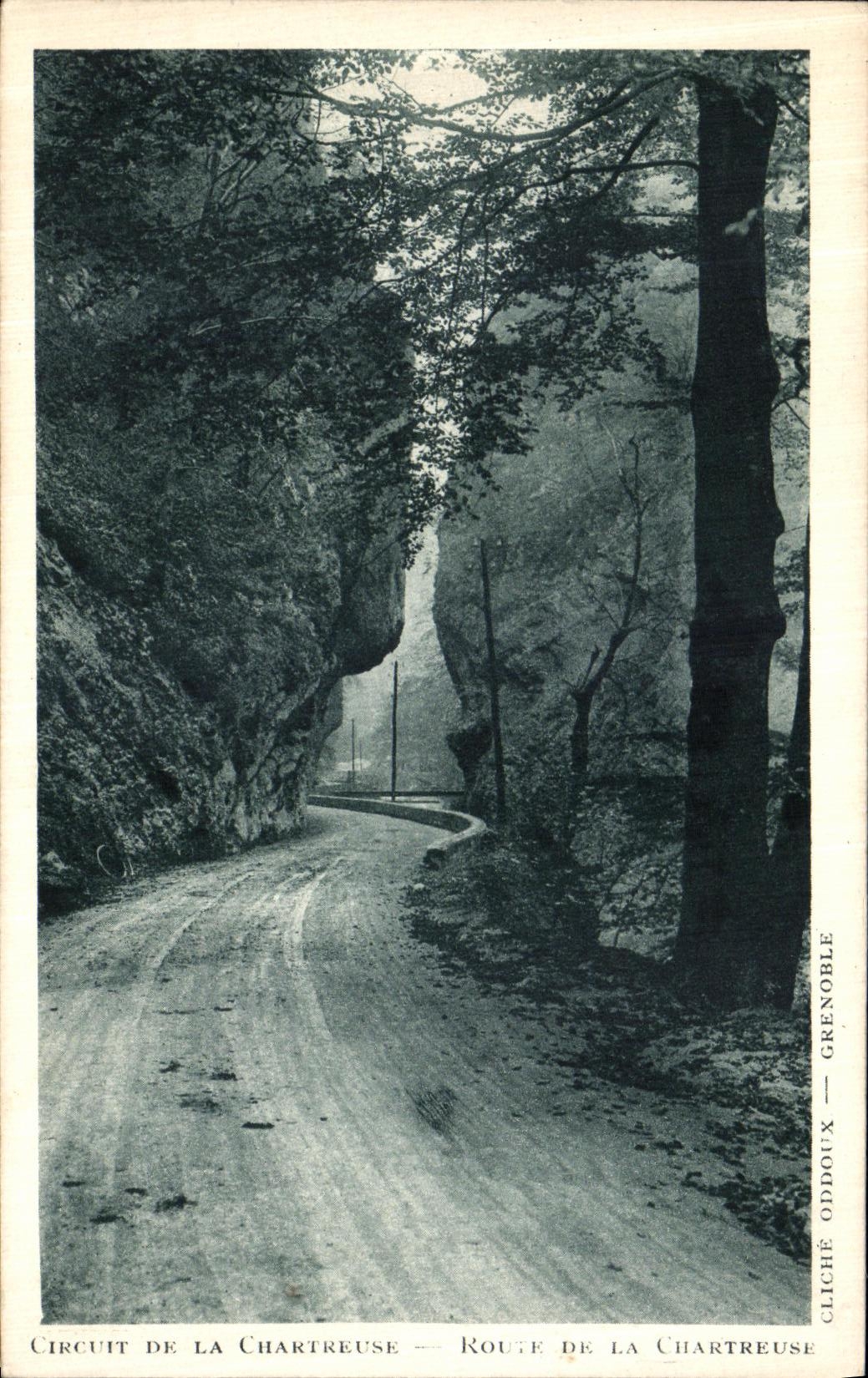 Camino de la POSTAL de la VENDIMIA de chartreuse grande