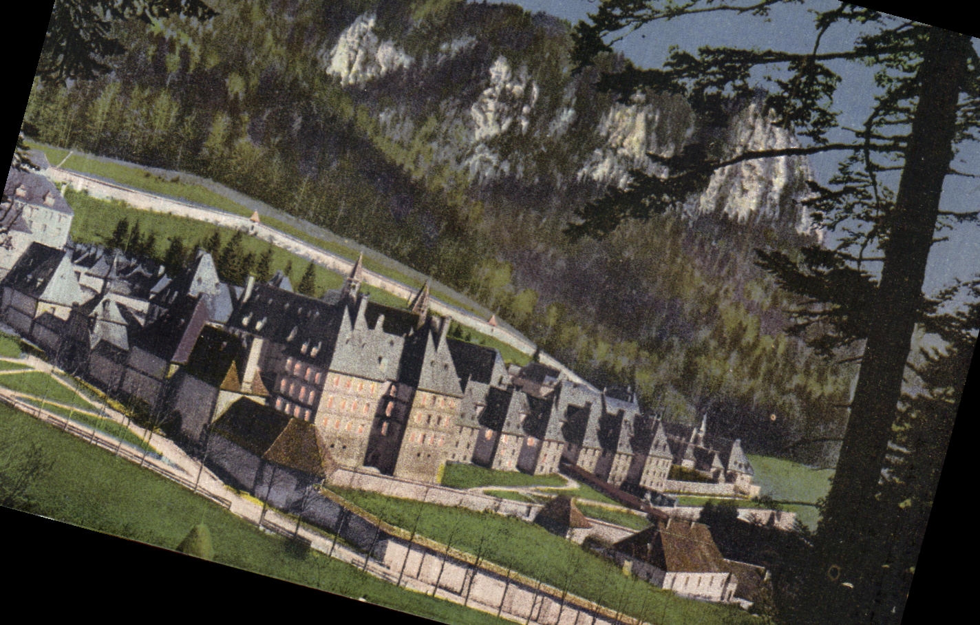 Chartreuse grande de la cria chartreuse grande de Dauphine de la POSTAL de la VENDIMIA