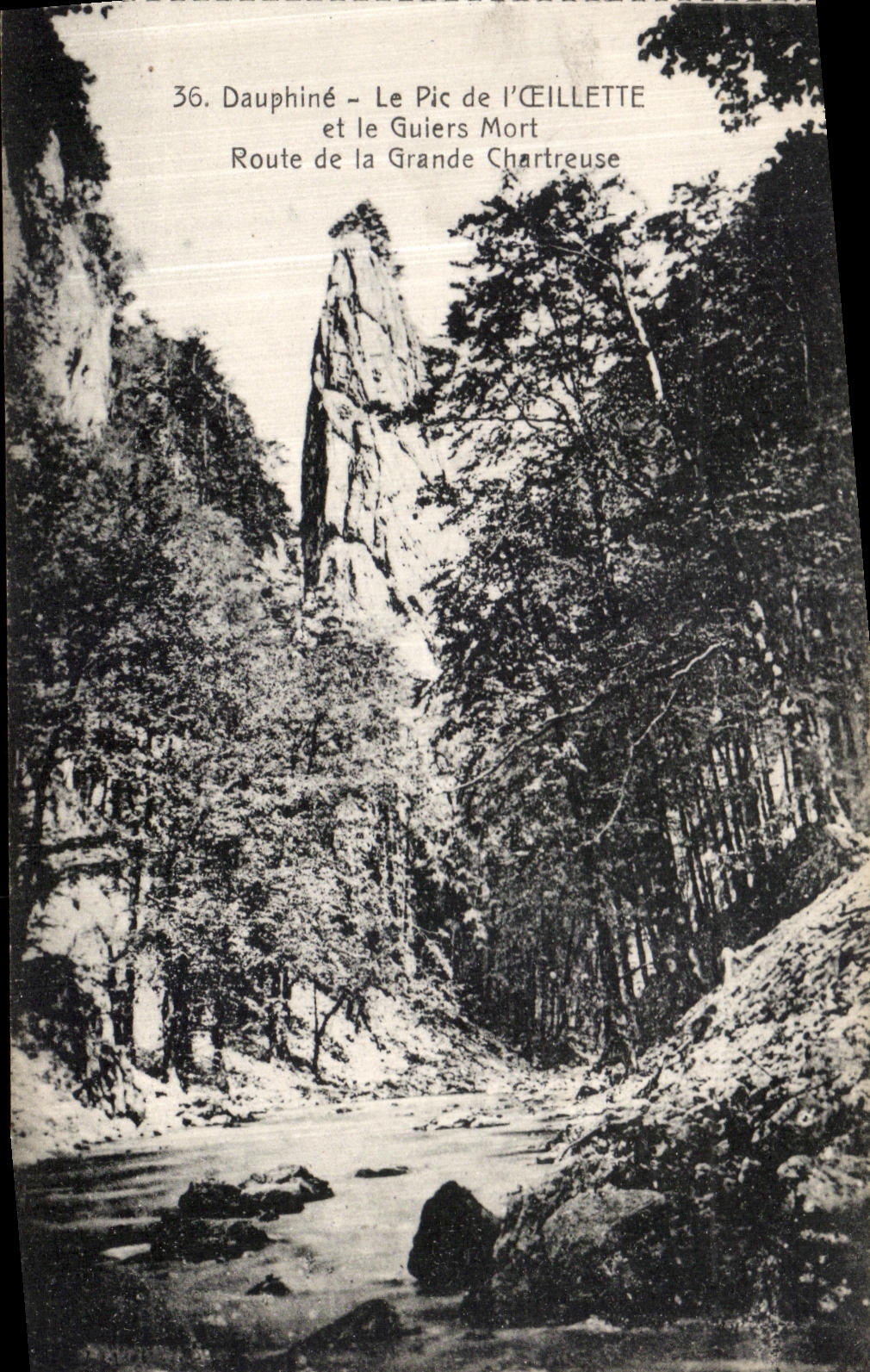VINTAGE POSTCARD Dauphine the peak of L Oil poppy and Guiers Road of large Chartreuse