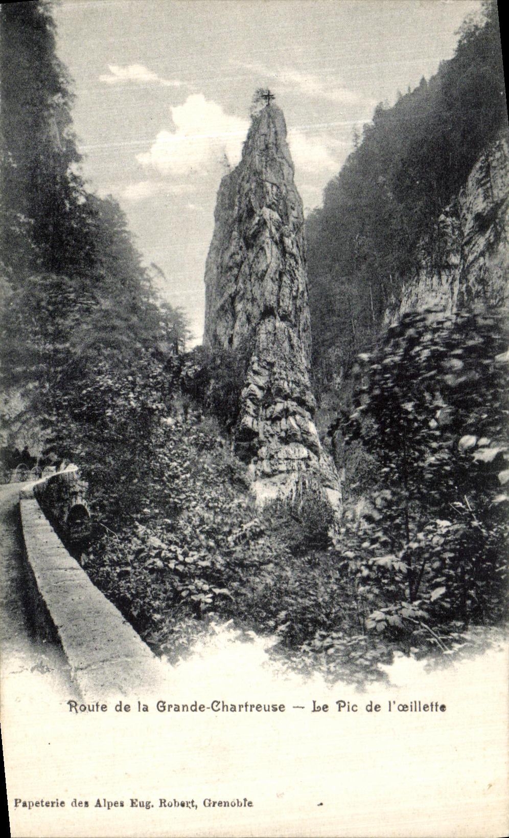 Camino de la POSTAL de la VENDIMIA de chartreuse grande el pico de L amapola del aceite