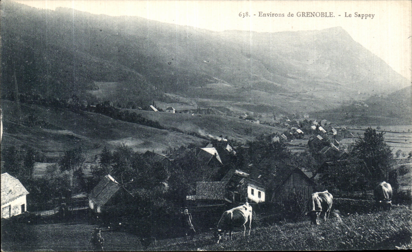 VINTAGE POSTCARD Surroundings of Grenoble Sappey Cows