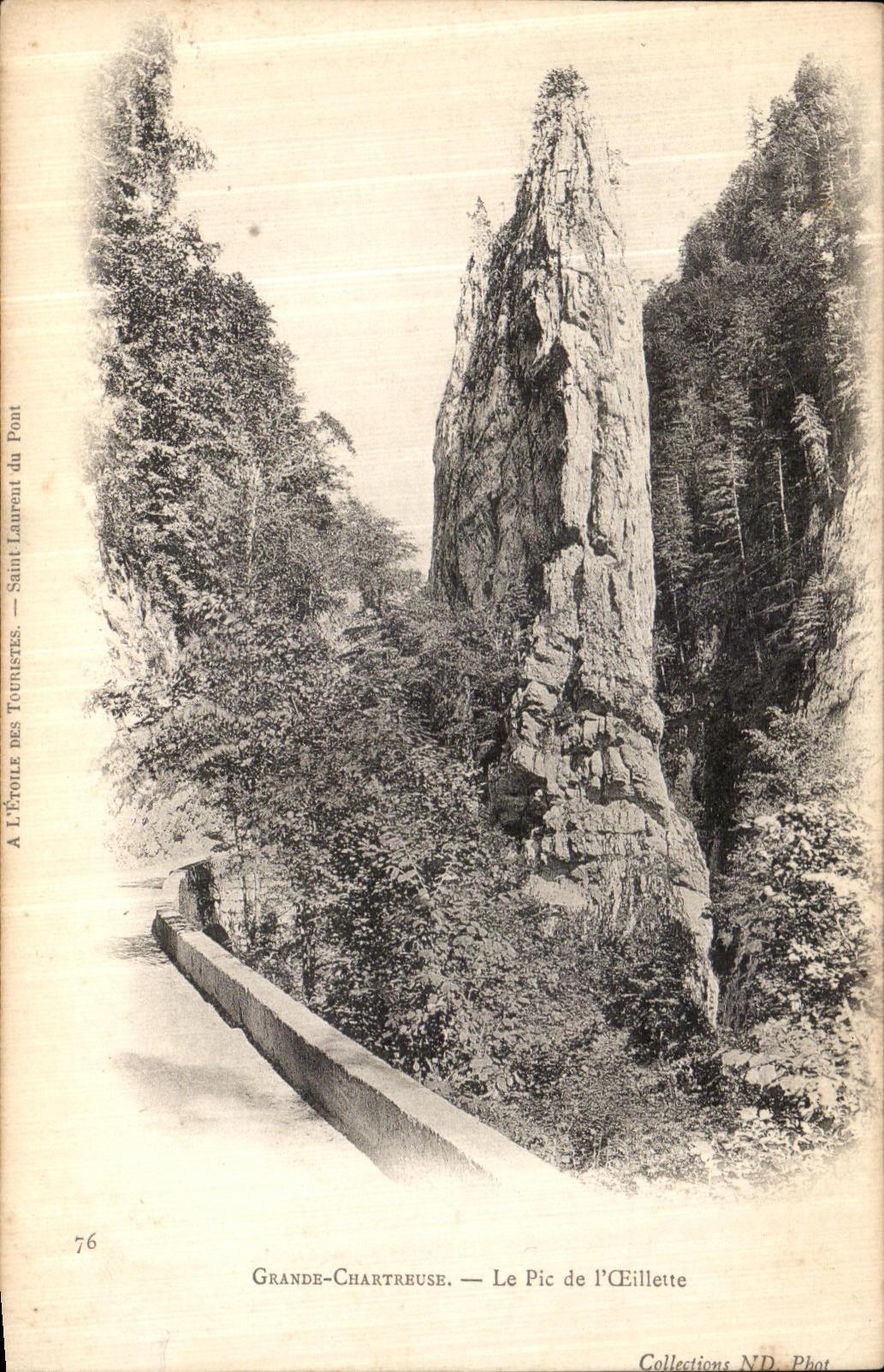 Chartreuse grande de Dauphine de la POSTAL de la VENDIMIA el pico de L amapola del aceite