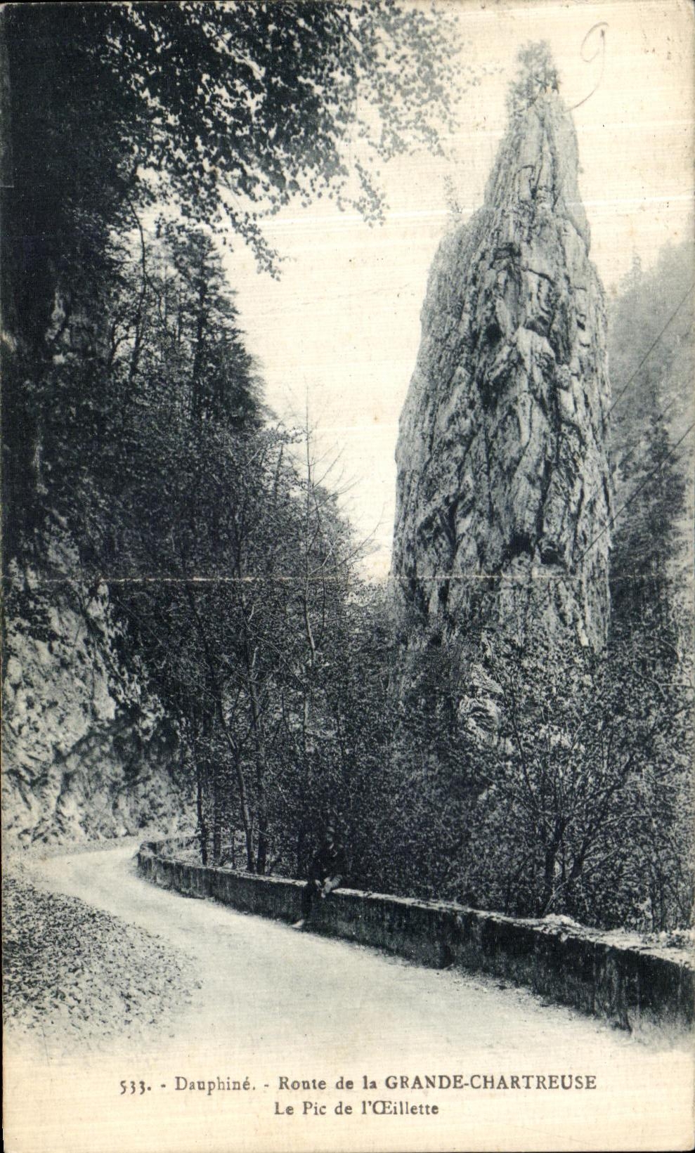 Camino de Dauphine de la POSTAL de la VENDIMIA de chartreuse grande el pico de L amapola del aceite