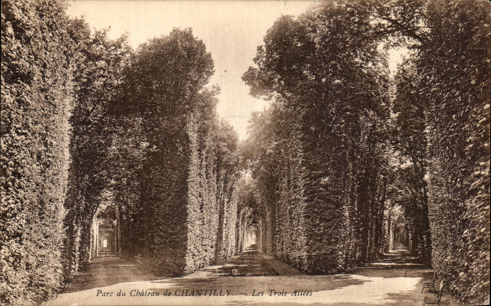 VINTAGE POSTCARD Park of the Castle of Chantilly three alleys