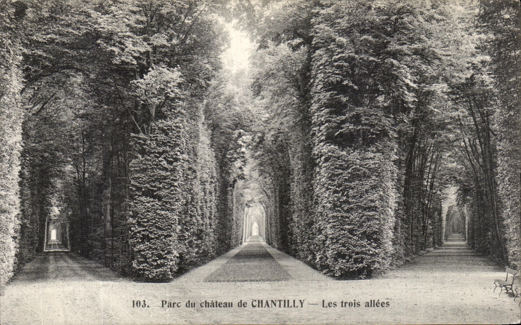 VINTAGE POSTCARD Park of the Castle Of Chantilly three alleys
