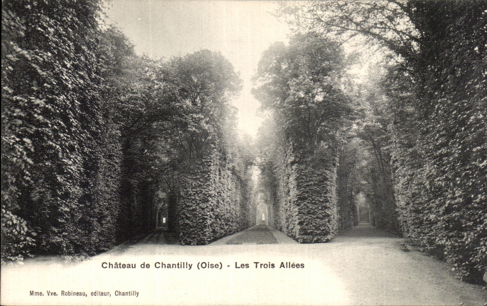VINTAGE POSTCARD Castle of Chantilly Three Alleys