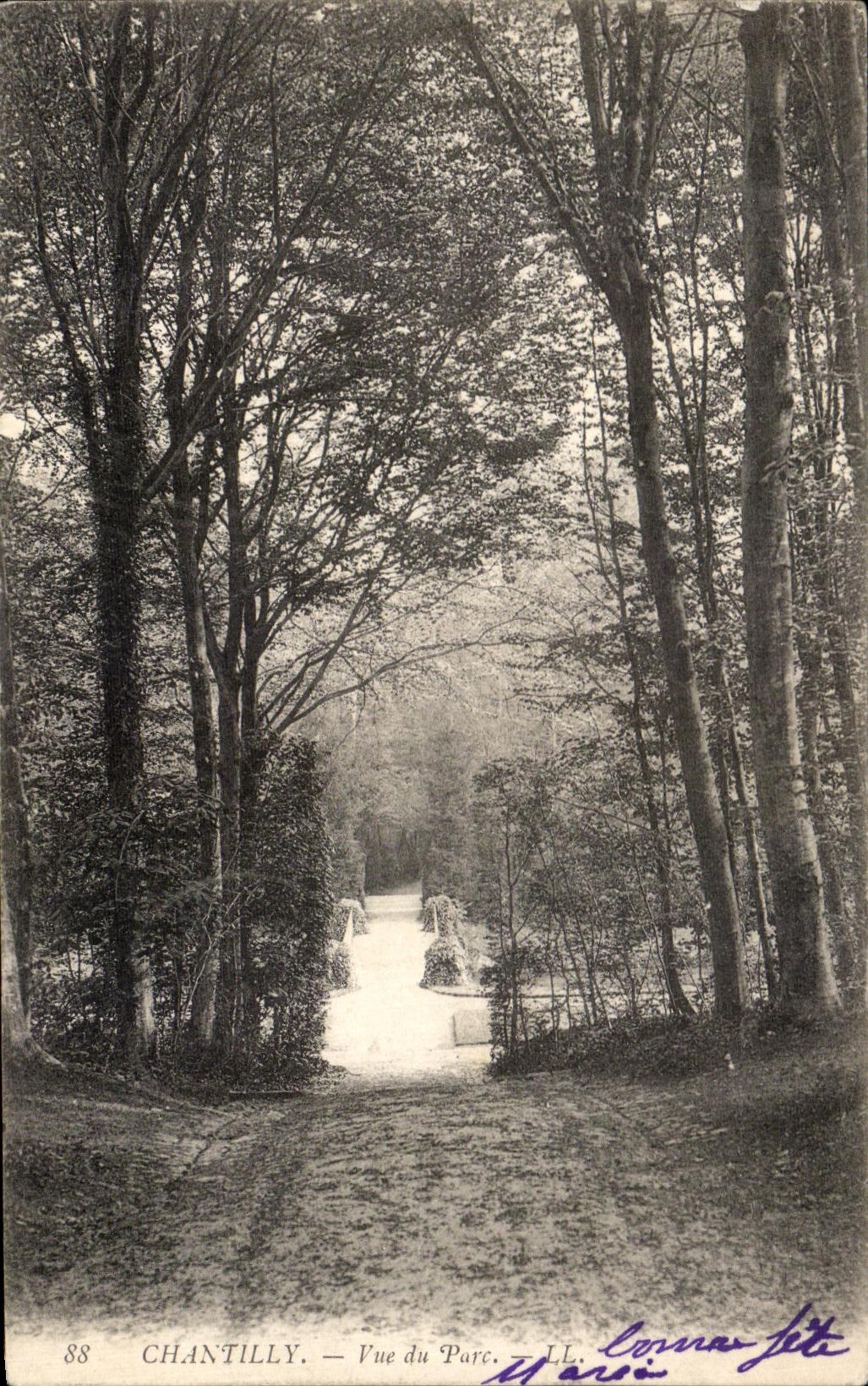 VINTAGE POSTCARD Chantilly Seen of the Park