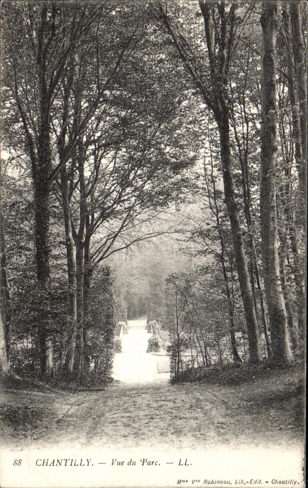 VINTAGE POSTCARD Chantilly Seen of the Park