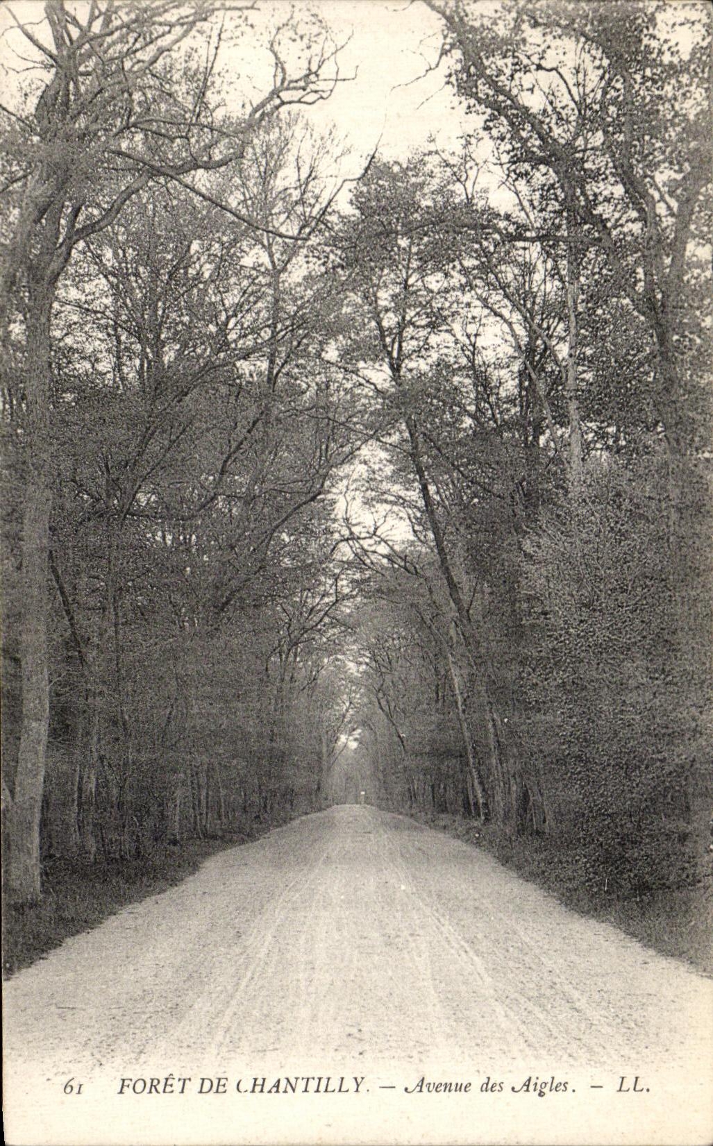 CPA Foret de Chantilly Avenue des aigles