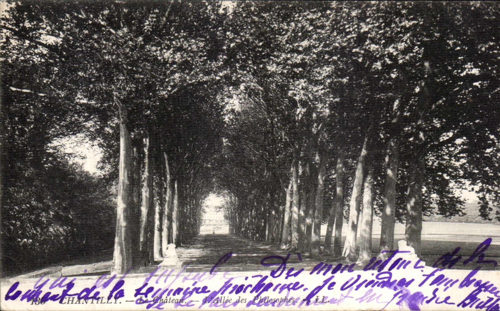 VINTAGE POSTCARD Chantilly Castle Gone of the plane trees