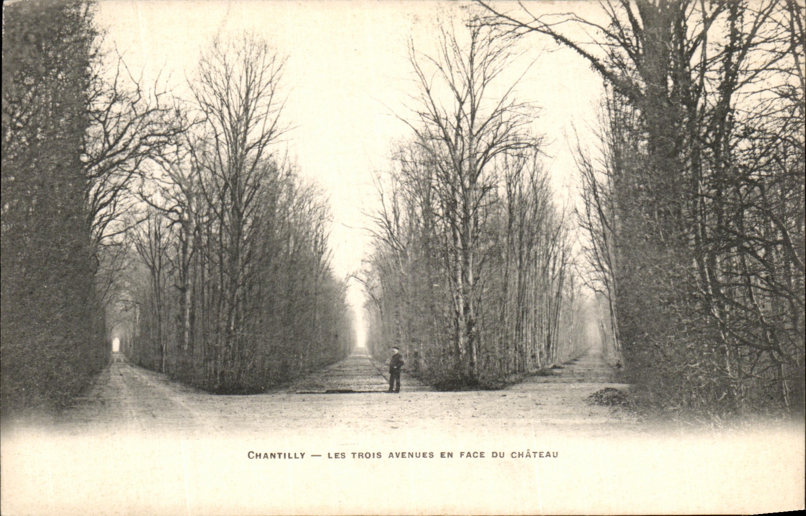 VINTAGE POSTCARD Chantilly Three Avenues opposite the castle
