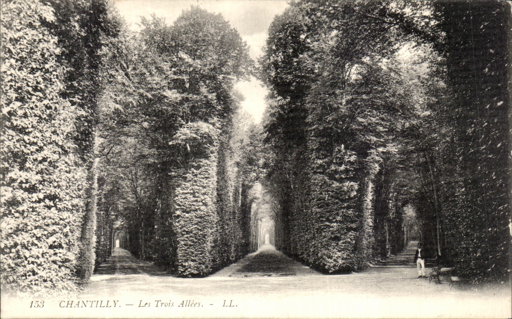 VINTAGE POSTCARD Chantilly Three Alleys