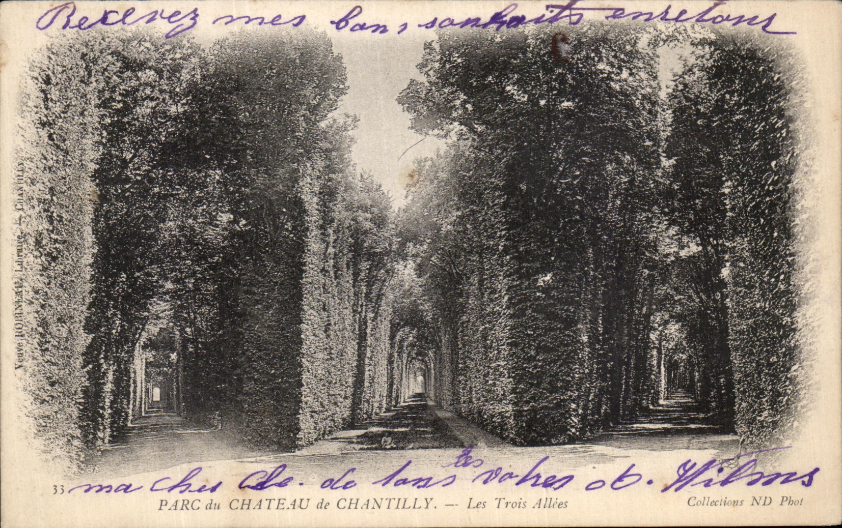 VINTAGE POSTCARD Park of the Castle Of Chantilly three alleys