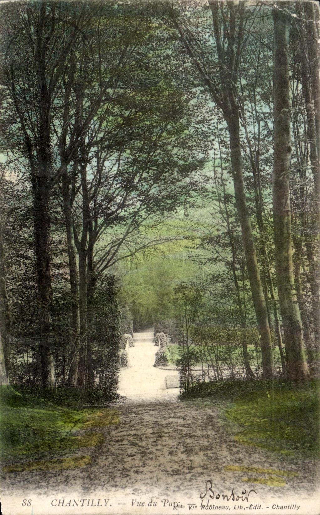 VINTAGE POSTCARD Chantilly Seen of the park