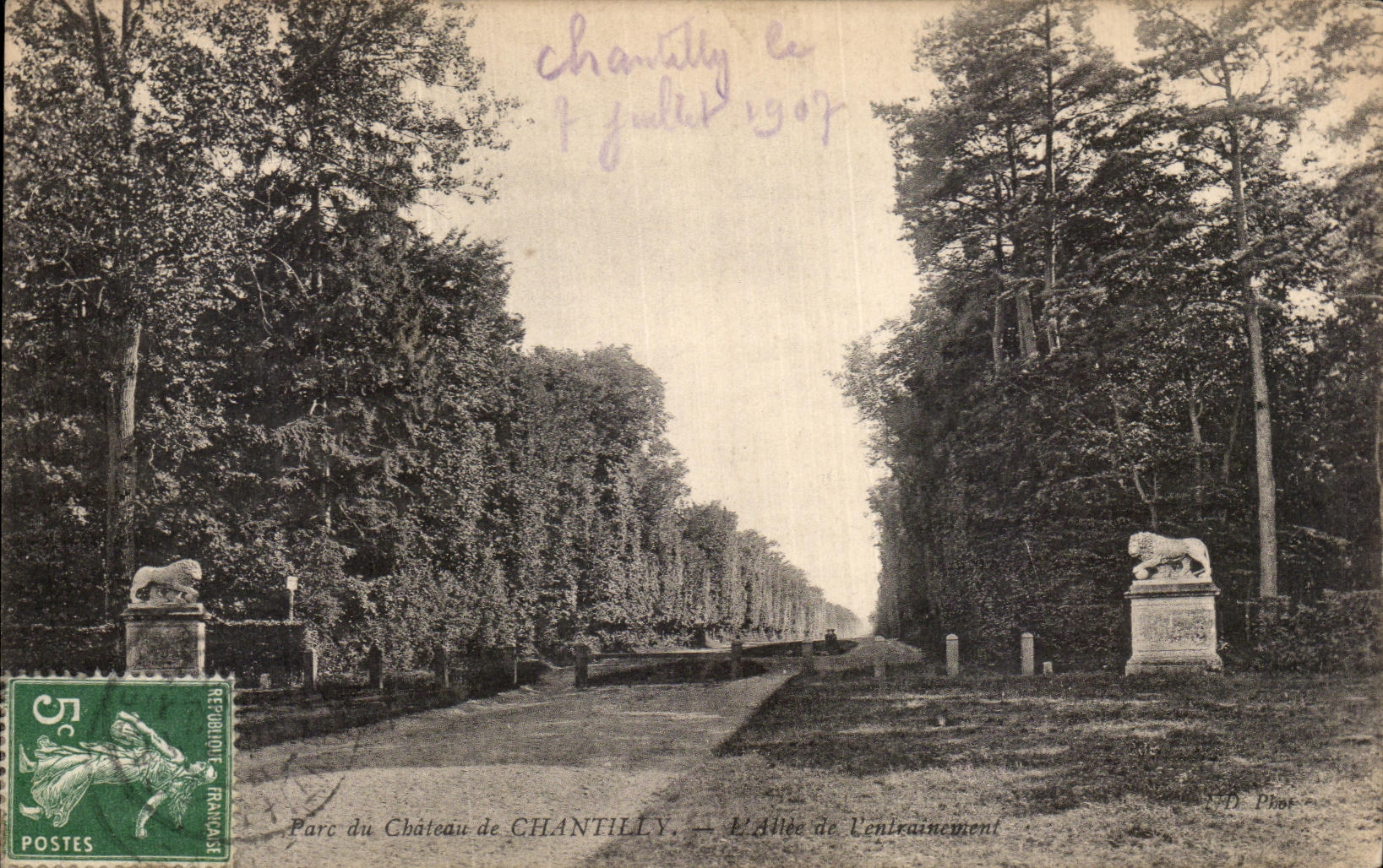 CPA Chateau De Chantilly Allee de l entrainement