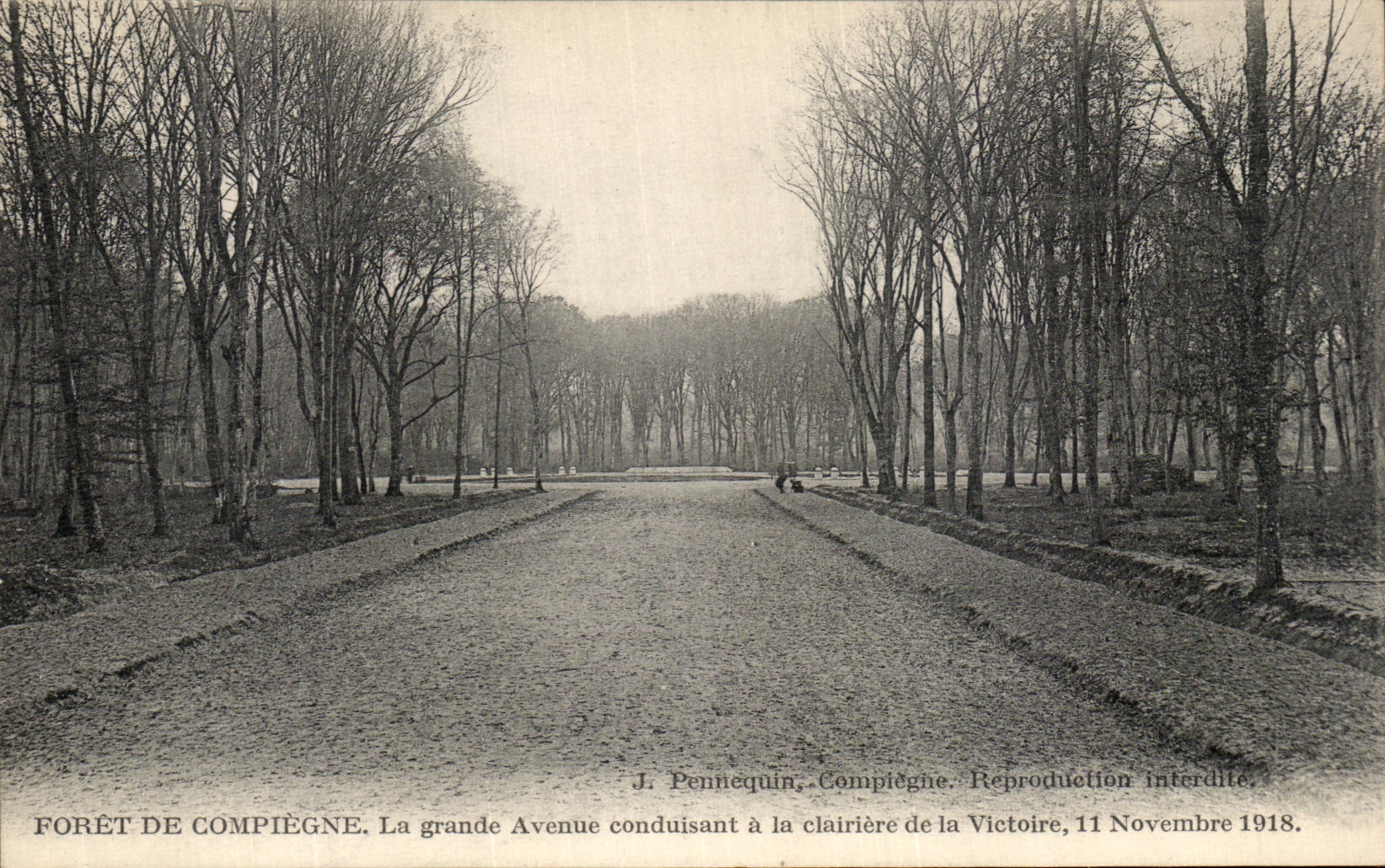 VINTAGE POSTCARD Compiegne Drill Of the Large Avenue leading the Clearing Militaria November 11th  1918
