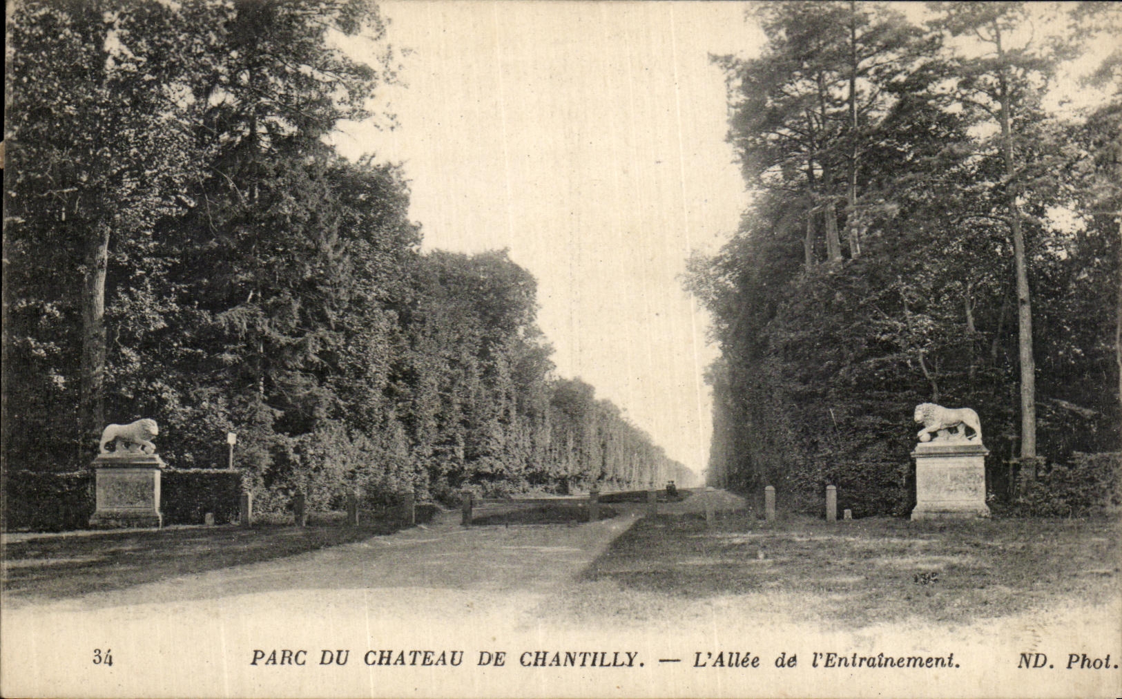 VINTAGE POSTCARD Park Of the Castle of Chantilly L Gone of L Drive