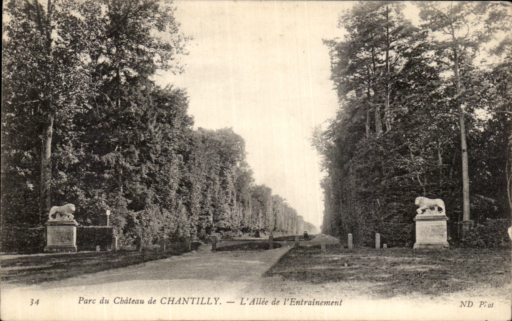 VINTAGE POSTCARD Park Of the Castle of Chantilly L Gone of L Drive